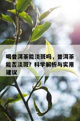 喝普洱茶能淡斑吗，普洱茶能否淡斑？科学解析与实用建议