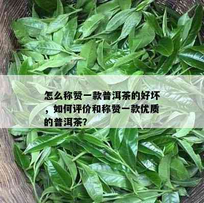 怎么称赞一款普洱茶的好坏，如何评价和称赞一款优质的普洱茶？