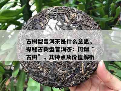 古树型普洱茶是什么意思，探秘古树型普洱茶：何谓“古树”，其特点及价值解析