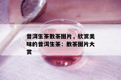 普洱生茶散茶图片，欣赏美味的普洱生茶：散茶图片大赏