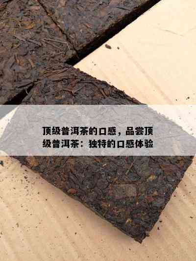 顶级普洱茶的口感，品尝顶级普洱茶：特别的口感体验