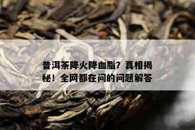 普洱茶降火降血脂？真相揭秘！全网都在问的问题解答