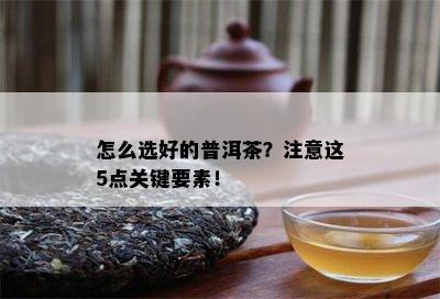 怎么选好的普洱茶？留意这5点关键要素！