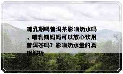 哺乳期喝普洱茶影响奶水吗，哺乳期妈妈可以放心饮用普洱茶吗？影响奶水量的真相解析