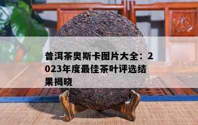 普洱茶奥斯卡图片大全：2023年度更佳茶叶评选结果揭晓