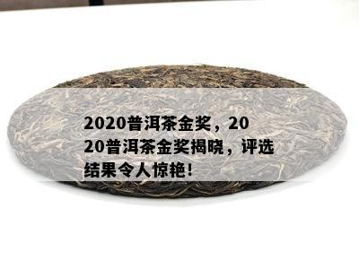 2020普洱茶金奖，2020普洱茶金奖揭晓，评选结果令人惊艳！