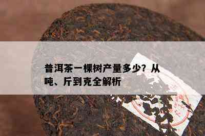 普洱茶一棵树产量多少？从吨、斤到克全解析