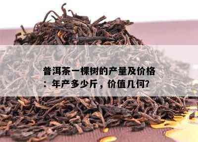 普洱茶一棵树的产量及价格：年产多少斤，价值几何？