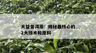 大益普洱茶：揭秘最核心的2大技术和原料