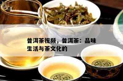 普洱茶视频，普洱茶：品味生活与茶文化的