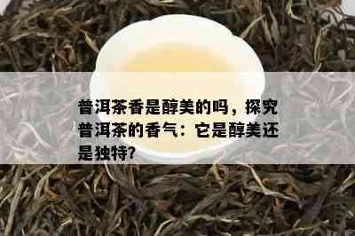 普洱茶香是醇美的吗，探究普洱茶的香气：它是醇美还是独特？