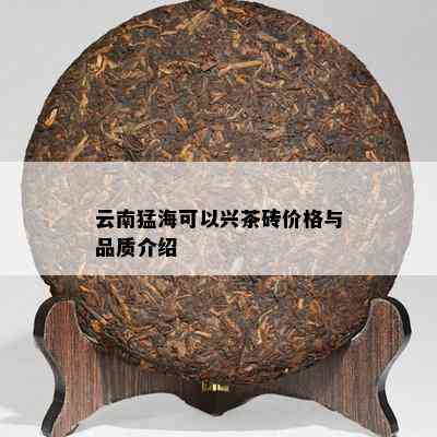 云南猛海可以兴茶砖价格与品质介绍