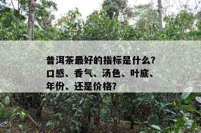 普洱茶更好的指标是什么？口感、香气、汤色、叶底、年份、还是价格？