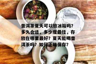 普洱茶夏天可以放冰箱吗？多久合适，多少度更佳，存放在哪里更好？夏天能喝普洱茶吗？如何正确保存？