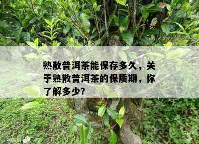 熟散普洱茶能保存多久，关于熟散普洱茶的保质期，你熟悉多少？