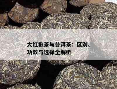 大红袍茶与普洱茶：区别、功效与选择全解析