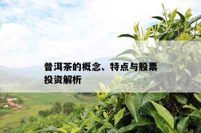 普洱茶的概念、特点与股票投资解析