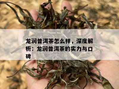 龙润普洱茶怎么样，深度解析：龙润普洱茶的实力与口碑