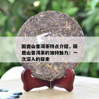 困鹿山普洱茶特点介绍，困鹿山普洱茶的特别魅力：一次深入的探索