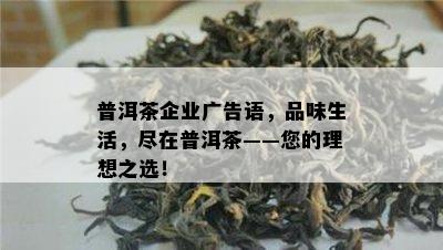 普洱茶企业广告语，品味生活，尽在普洱茶——您的理想之选！