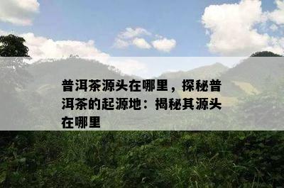 普洱茶源头在哪里，探秘普洱茶的起源地：揭秘其源头在哪里