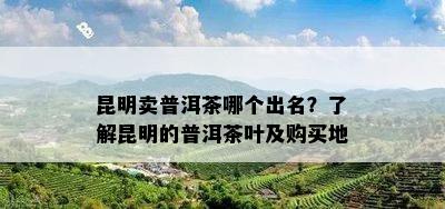 昆明卖普洱茶哪个出名？熟悉昆明的普洱茶叶及购买地