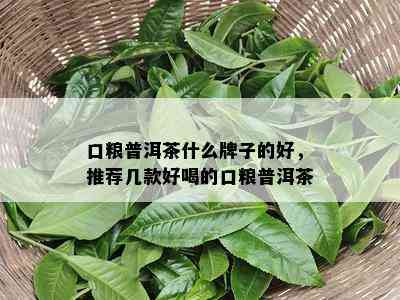 口粮普洱茶什么牌子的好，推荐几款好喝的口粮普洱茶