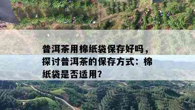 普洱茶用棉纸袋保存好吗，探讨普洱茶的保存方法：棉纸袋是不是适用？