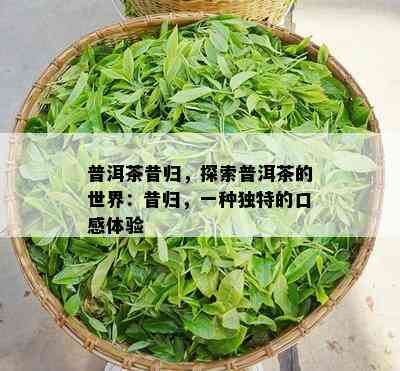 普洱茶昔归，探索普洱茶的世界：昔归，一种独特的口感体验