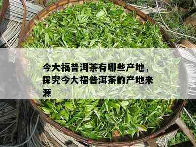 今大福普洱茶有哪些产地，探究今大福普洱茶的产地来源