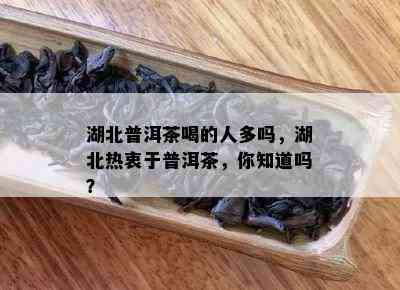 湖北普洱茶喝的人多吗，湖北热衷于普洱茶，你知道吗？