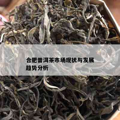 合肥普洱茶市场现状与发展趋势分析