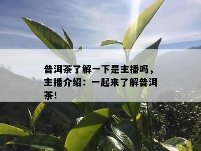 普洱茶熟悉一下是主播吗，主播介绍：一起来熟悉普洱茶！