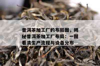 普洱茶加工厂的布局图，揭秘普洱茶加工厂布局：一图看清生产流程与设备分布