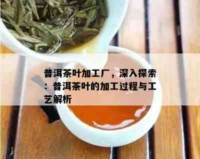 普洱茶叶加工厂，深入探索：普洱茶叶的加工过程与工艺解析