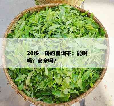 20块一饼的普洱茶：能喝吗？安全吗？