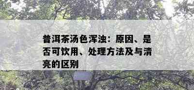 普洱茶汤色浑浊：起因、是不是可饮用、解决方法及与清亮的区别