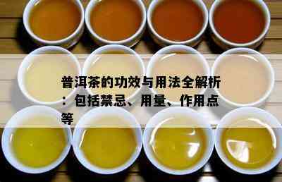 普洱茶的功效与用法全解析：包括禁忌、用量、作用点等