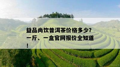 益品尚饮普洱茶价格多少？一斤、一盒官网报价全知道！