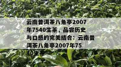 云南普洱茶八角亭2007年7540生茶，品尝历史与口感的完美结合：云南普洱茶八角亭2007年7540生茶