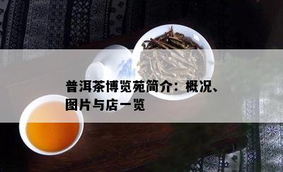 普洱茶博览苑简介：概况、图片与店一览