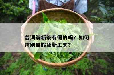 普洱茶新茶有假的吗？如何辨别真假及新工艺?