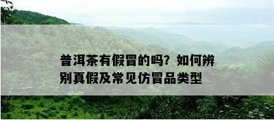 普洱茶有假冒的吗？如何辨别真假及常见仿冒品类型