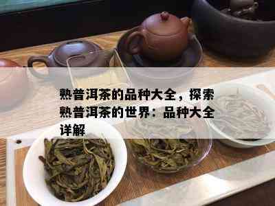 熟普洱茶的品种大全，探索熟普洱茶的世界：品种大全详解