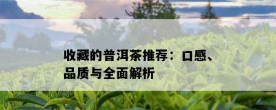 收藏的普洱茶推荐：口感、品质与全面解析