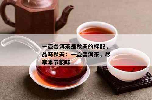 一壶普洱茶是秋天的标配，品味秋天：一壶普洱茶，尽享季节韵味