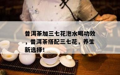 普洱茶加三七花泡水喝功效，普洱茶搭配三七花，养生新选择！