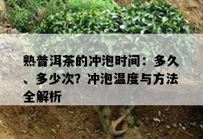 熟普洱茶的冲泡时间：多久、多少次？冲泡温度与方法全解析