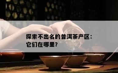 探索不出名的普洱茶产区：它们在哪里？