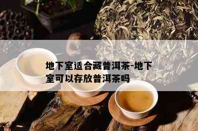 地下室适合藏普洱茶-地下室可以存放普洱茶吗